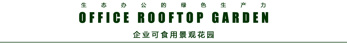 企业屋顶花园_资阳市鱼凫源