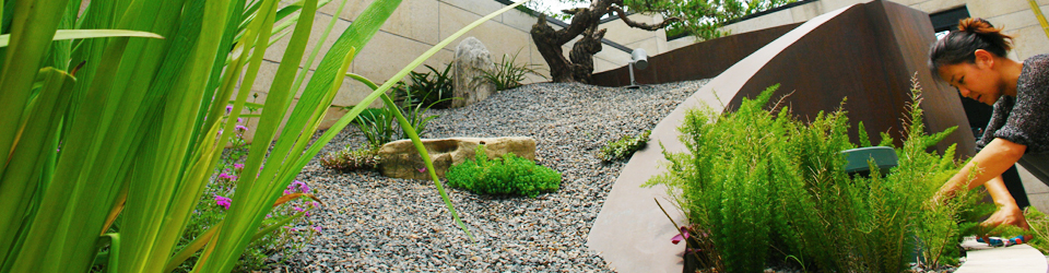庭院设计