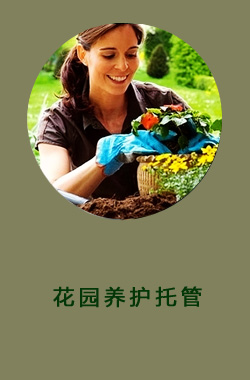 花园养护托管