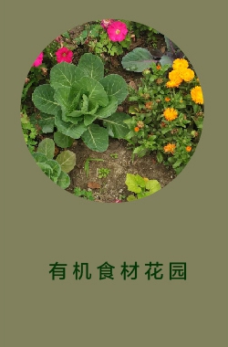 有机食材花园